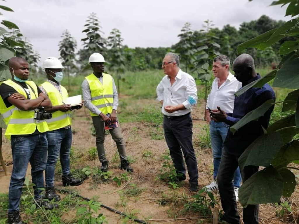 sostenibilità settore funebre