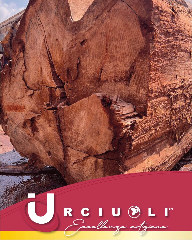 Copertina Tecnica 2025 - Urciuoli Global