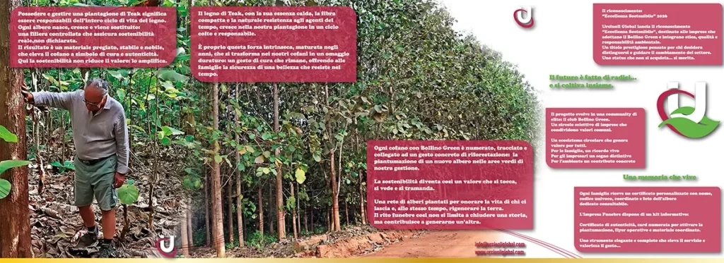 Tecnica_num_1_2026-retro