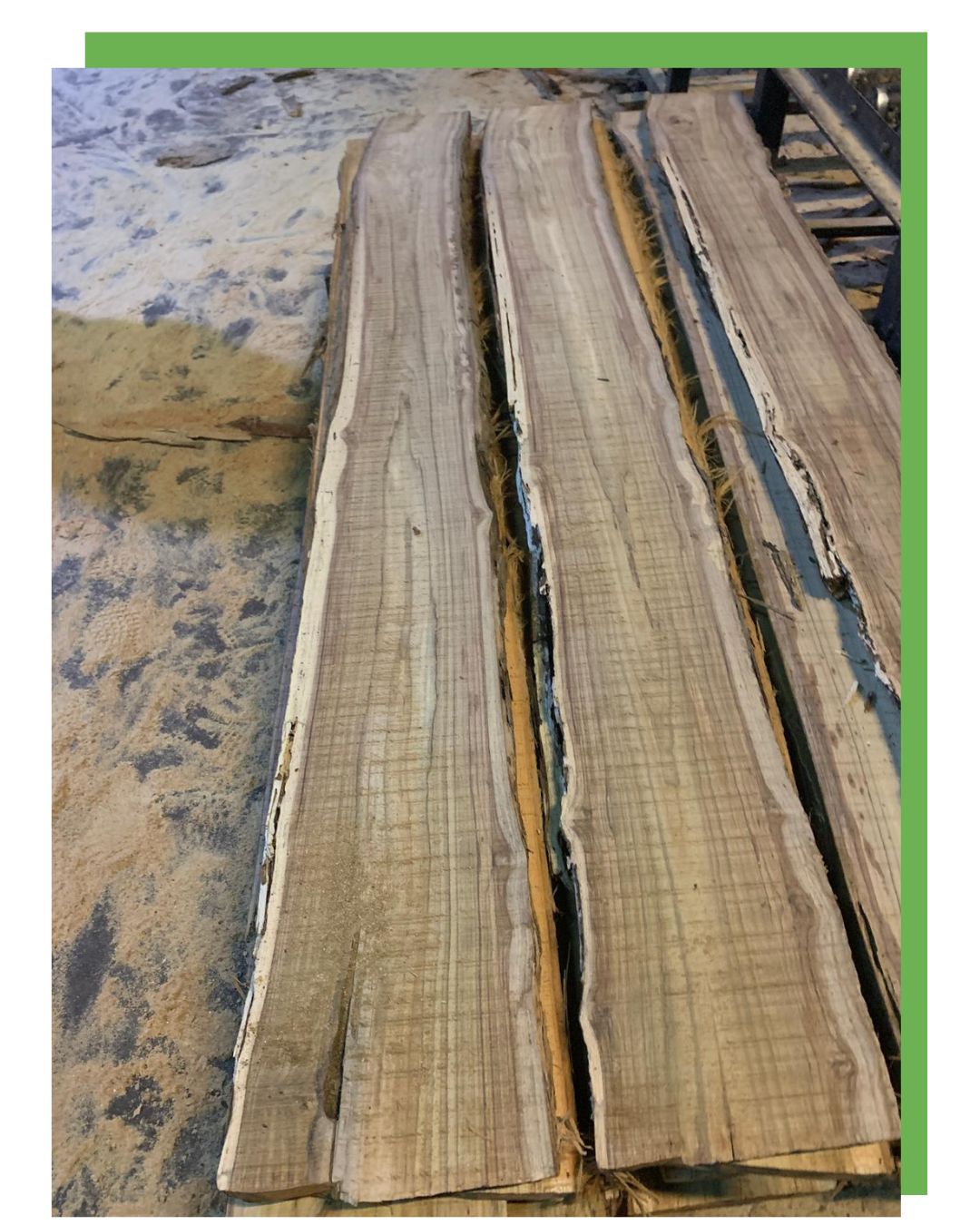 Custodi del Teak - Progetto Radici del Futuro